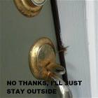 Not Going Inside Today