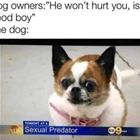 Not Going To Hurt You
