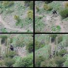 Not Having A Good Day