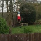 Not Having A Great Day