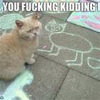 Not Impressed