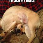 Not Sure What Happened