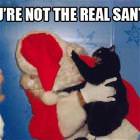 Not The Real Santa