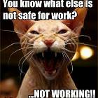 Not Working Is Nsfw