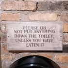 Nothing Down The Toilet