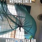 Nothing Like It