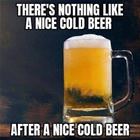 Nothing Like It
