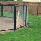 Nothing To See Here