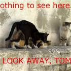Nothing To See Here