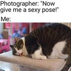 Now Give Me A Pose