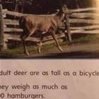 Now I Understand