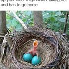 Now She Has To Go Home