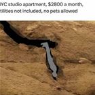 Nyc Studio Apartment