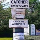 Odd Jobs