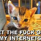 Off My Internets