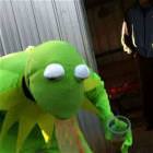 Oh Kermit