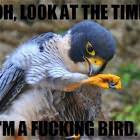 Oh Look At The Time