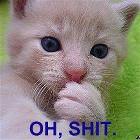 Oh No Kitty