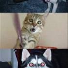 Oh Oh Oh Oh