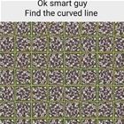 Ok Smart Guy