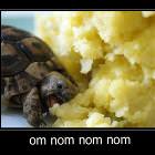 Om Nom Nom