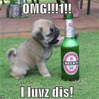 Omg I Loves Dis