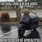 On A Black Horse I Ride