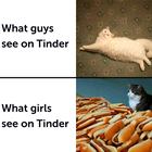 On Tinder