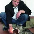 One Bad Cat