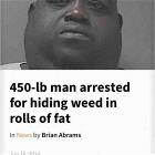 One Benefit Of Obesity