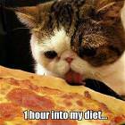 One Hour Into My Diet