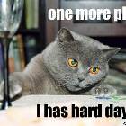 One More Please