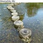 One Step At A Time