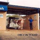 Only In Texas