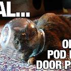 Open Pod Door Please