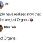 Organs