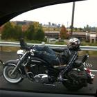 Out For A Relaxing Ride