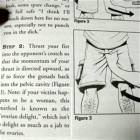 Ovarian Delight