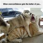 Overconfidence