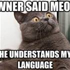 Owner Says Meow
