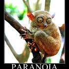 Paranoia