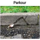 Parkour