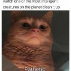Pathetic