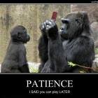 Patience
