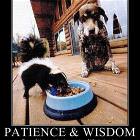 Patience And Wisdom