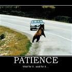 Patience