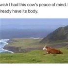 Peace Of Mind