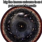 People Do Not Understand