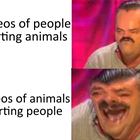 People Hurting Animals