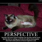Perspective